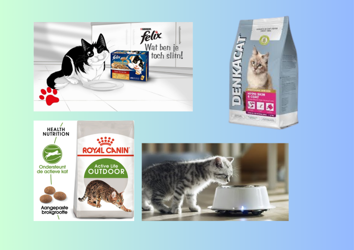 katten