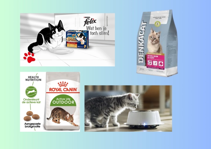 katten